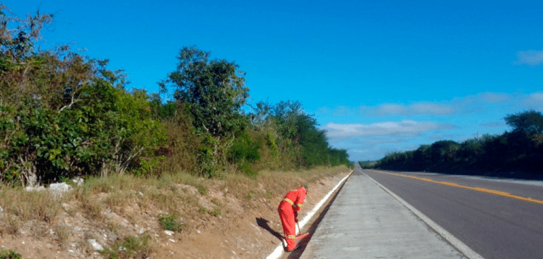 Concessionária faz limpeza em sarjetas para garantir segurança viária